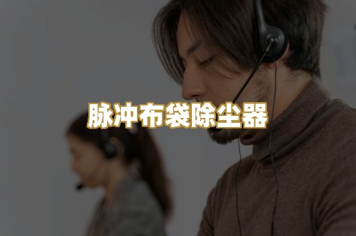 脉冲布袋除尘器